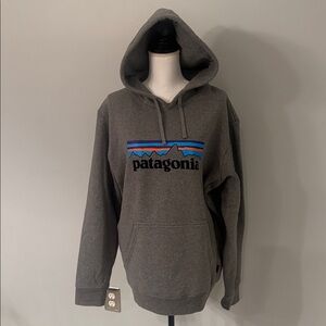 Patagonia Logo Uprisal Hoodie